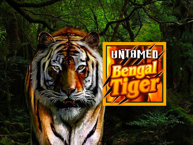 Animal-themed slot machine Untamed Bengal Tiger